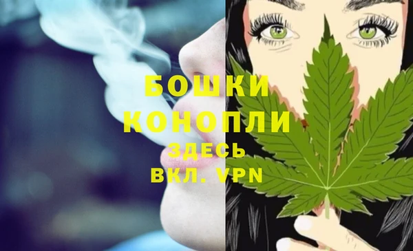стафф Вязьма