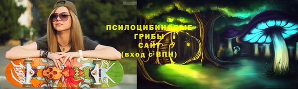 стафф Вязьма