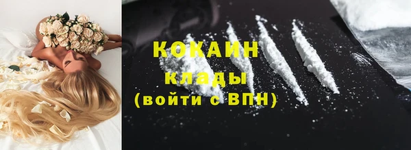 ГАЛЛЮЦИНОГЕННЫЕ ГРИБЫ Вяземский