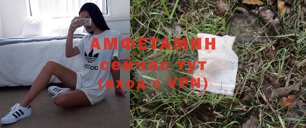 ГАЛЛЮЦИНОГЕННЫЕ ГРИБЫ Вяземский