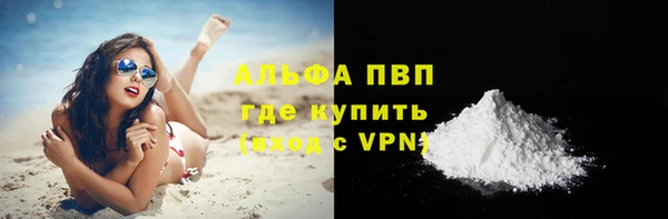 стафф Вязьма