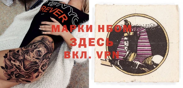 ГАЛЛЮЦИНОГЕННЫЕ ГРИБЫ Вяземский