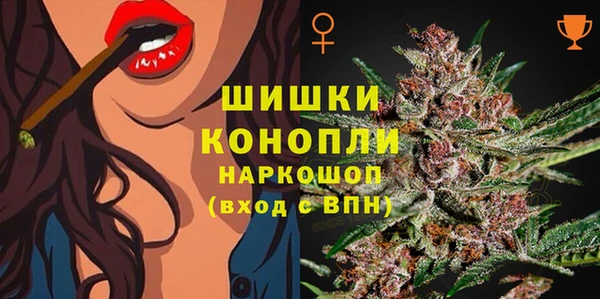 стафф Вязьма