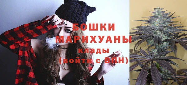 стафф Вязьма
