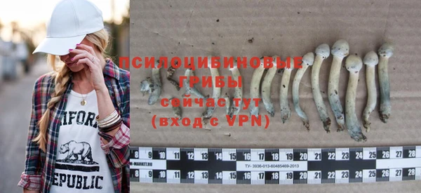 ГАЛЛЮЦИНОГЕННЫЕ ГРИБЫ Вяземский