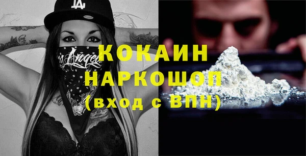 стафф Вязьма