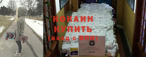 ГАЛЛЮЦИНОГЕННЫЕ ГРИБЫ Вяземский