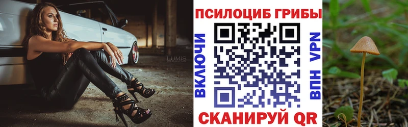 Галлюциногенные грибы Psilocybe  Крымск 
